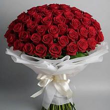 Букет 101 Красная роза Блэк Мэджик #REPLACE_PRED# Шахунье