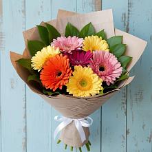 Букет цветов из:  Герберы #REPLACE_PRED# Шахунье