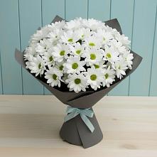 Букет цветов из:  Хризантемы в Шахунье