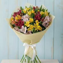 Букет цветов из:  Альстромерии в Шахунье