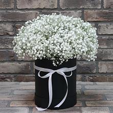 Цветочная композиция из Гипсофила в шляпной коробке #REPLACE_PRED# Шахунье