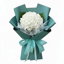 Букет цветов из:  Гортензия в Шахунье